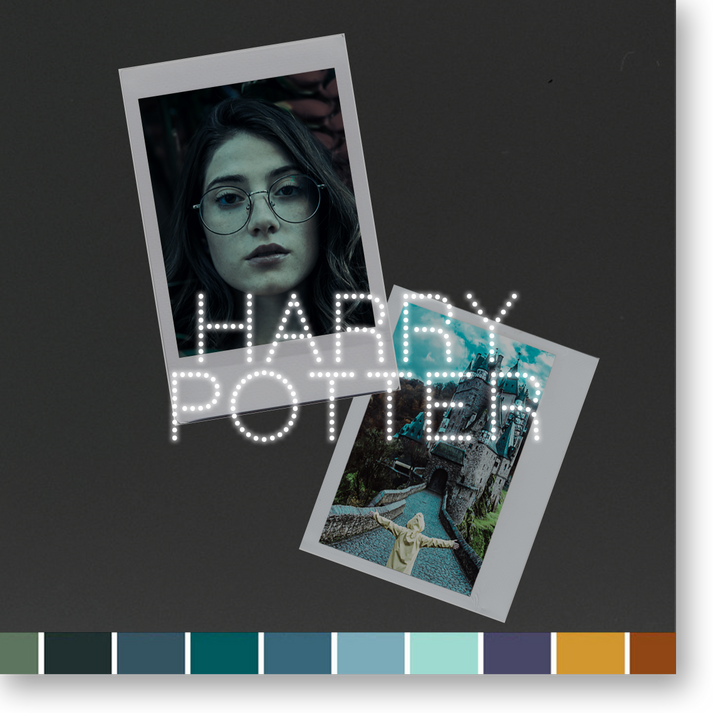Potter Potter